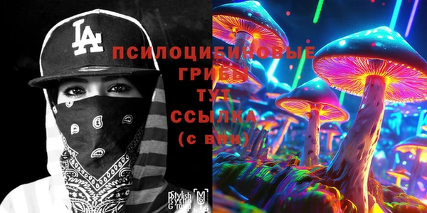 крисы Балахна